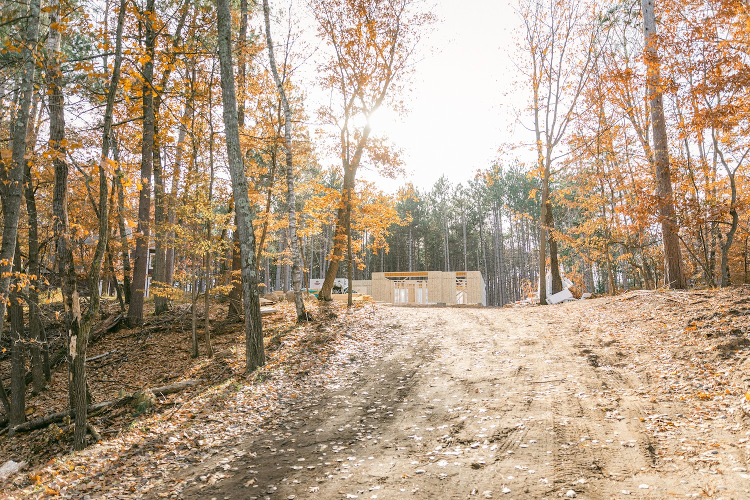 Photo by Jennifer Kalenberg on Unsplash
      